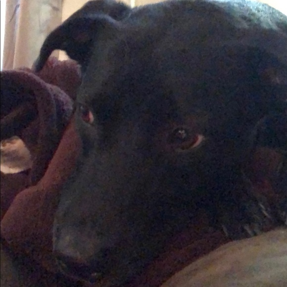 Meet your Posher, Wally - Picture 1 of 1